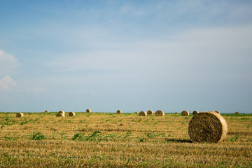 Field of harvested grain with bales of hay and blue sky