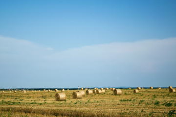 harvested field with bales of hay and blue sky