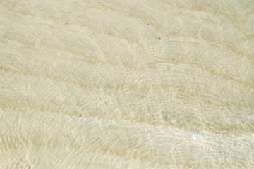 the sea water