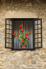 Window with stone wall and pot with flowers