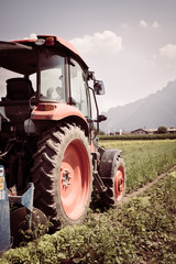 Fototapeta premium Traktor auf Acker, Landwirtschaft, blauer Himmel