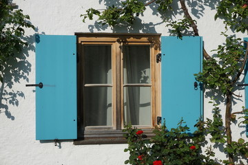 Holzfenster mit türkisen Holzläden und Pflanzenbewuchs