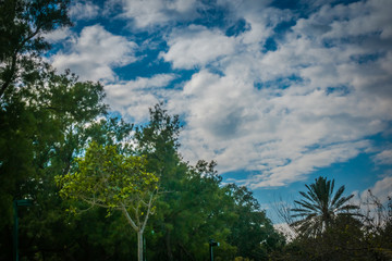 View of Yarkon Park, Tel Aviv, Israel