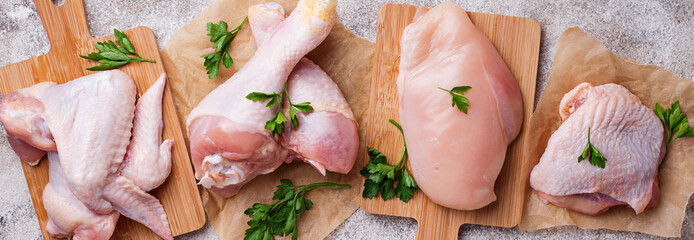Fototapeta Raw chicken meat fillet, thigh, wings and legs obraz