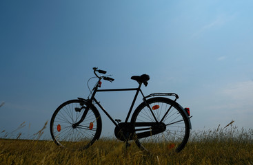 Fototapeta na wymiar Fahrrad in der Natur auf der Wiese