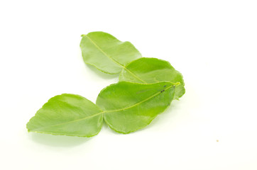 kaffir lime leaves