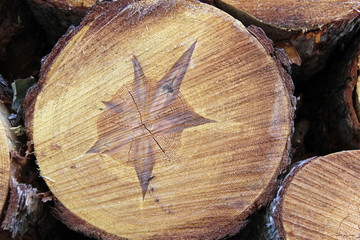 Naklejka premium une étoile