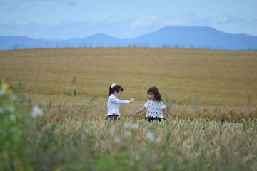 Naklejka premium Two girls in wheat field