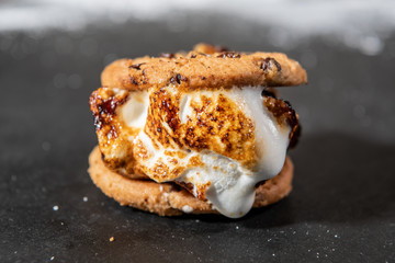 Down Angle of Chocolate Chip Cookie S’more