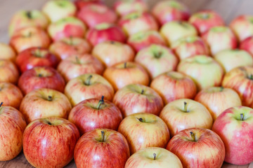 a lot of ripe red apples