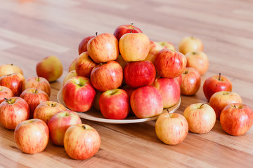 autumn harvest of ripe apples