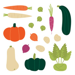 Set, collection of fresh autumn, fall vegetables. Carrots, butternut squash, pumpkin, zucchini, kohlrabi, brussels sprouts, onion, potato. Vector vegetables in cartoon style. 