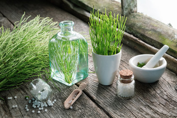 Horsetail healing herbs, bottle of equisetum infusion, mortar and bottles of homeopathic globules. - obrazy, fototapety, plakaty