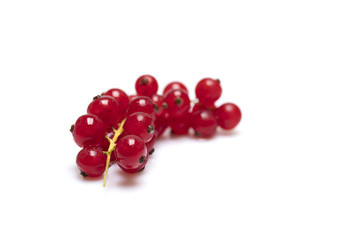 Johannisbeeren auf weissem Hintergrund