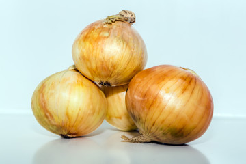 the onion bunch