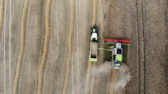 combine harvester and tractor working on the cereal field. aerial top view