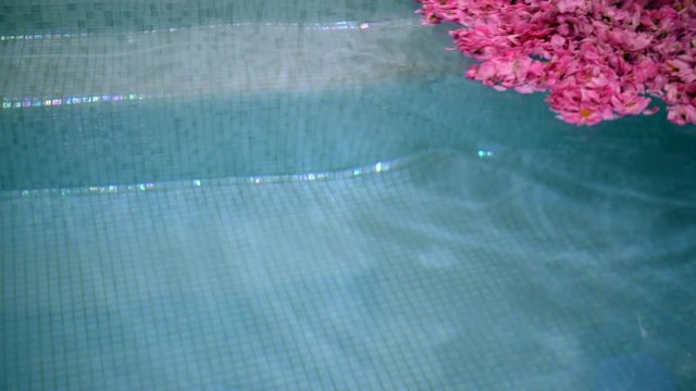 Rose petals floating in a spa pool