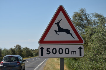 Panneau annonçant le passage d'animaux sauvages pendant 5 000 mètres.
