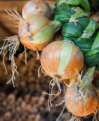 Crop of raw onions.