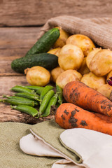 Gather of fresh vegetables form the garden. Close up. Carrots, potatoes, peas and cucumbers.