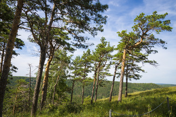 Strelnaya Mountain. Attraction of the Samara region