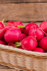 Pile of red radishes in wicked basket. Close up. Cropped inage.