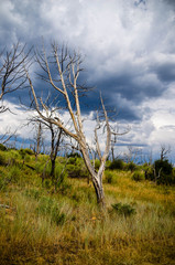 Obraz premium Mesa Verde Storm