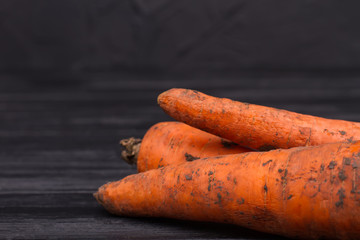Orange dirty carrots on dark background. Close up. Black wooden background.