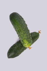 Two fresh green cucumbers close up. White isolated background, cut out.