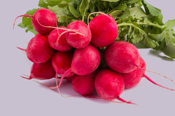 Bunch of fresh red radishes on white isolated background. CLose up. Organic fresh vegetables.
