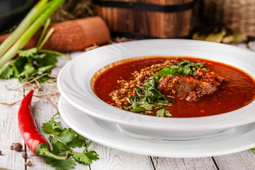Traditional Georgian and Armenian cuisine. Tomato soup with rice Harcho of lamb, with walnut, garlic and cilantro. Copy space, selective focus