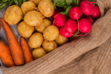 Carrots, potatoes and radishes close up. Burlap bag. Fresh ripe raw vegetables texture.