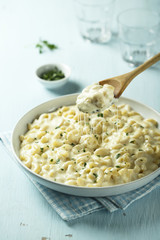 Cheese and pasta bake, or mac'n'cheese