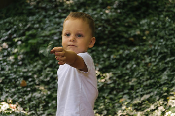 a boy in a white T-shirt, holds a green leaf in the park