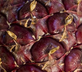 Red Pineapple surface texture