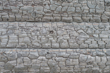 texture of burnt wood