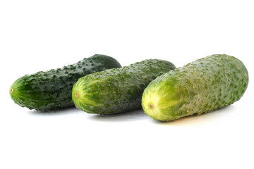 Fresh cucumbers on a white background for design