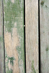 Green wood background