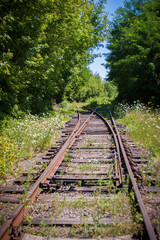 An abandoned railway