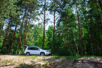 white suv in forest. car travel concept. lifestyle