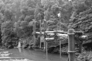 Obraz premium Web- covered directional antenna near a river in a forest.