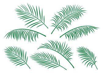 set of green isolated palm leaves