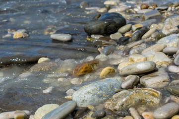 pebble stones on the sea beach, the rolling waves of the sea with foam
