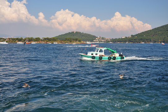Sea travel and transportation