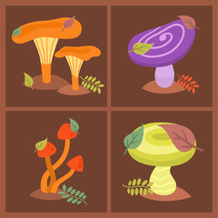 Mushrooms fungus agaric toadstool different art style design fungi vector illustration red hat