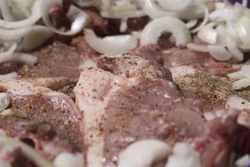 pieces of meat with onions BBQ closeup