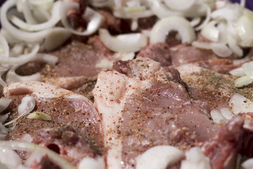 pieces of meat with onions BBQ closeup
