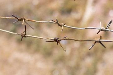 Obraz premium rusty barbed wire on blurred brown background