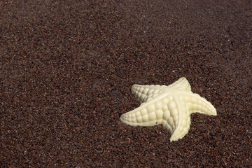 Fototapeta na wymiar toy starfish on the shore