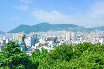 Aerial View of Buildings and Natural Landscape of Busan City